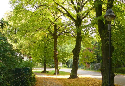 MARASIGN 081003a0003 brb 3668742423 o