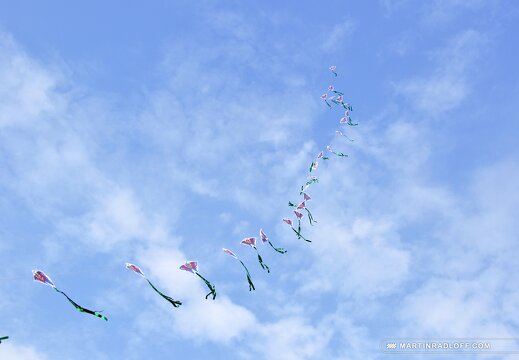 MARASIGN 1005221550461 4688400945 o