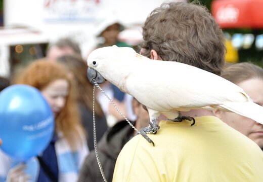 MARASIGN 1005221622471 4688418627 o