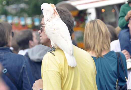 MARASIGN 1005221622581 4689052734 o